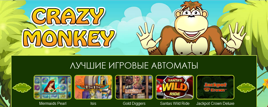 Crazy Monkey  ,    