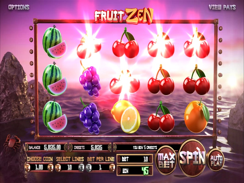 Fruit Zen -    BetSoft