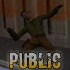     Public  9 - 15  Counter-Strike 1.6 