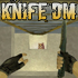     Knife DM  30  - 5  Counter-Strike 1.6 
