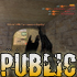     Public  20 - 26  Counter-Strike 1.6 