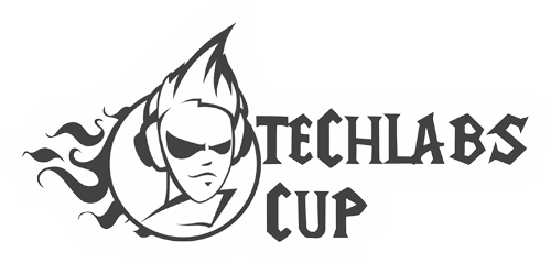   TECHLABS Cup 2012