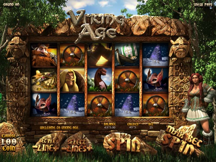 Viking Age -    