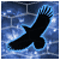 Avatar пользователя