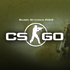     CS:GO