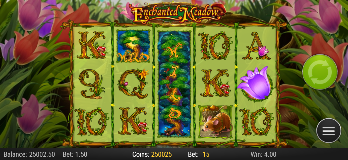 Enchanted Meadow -  