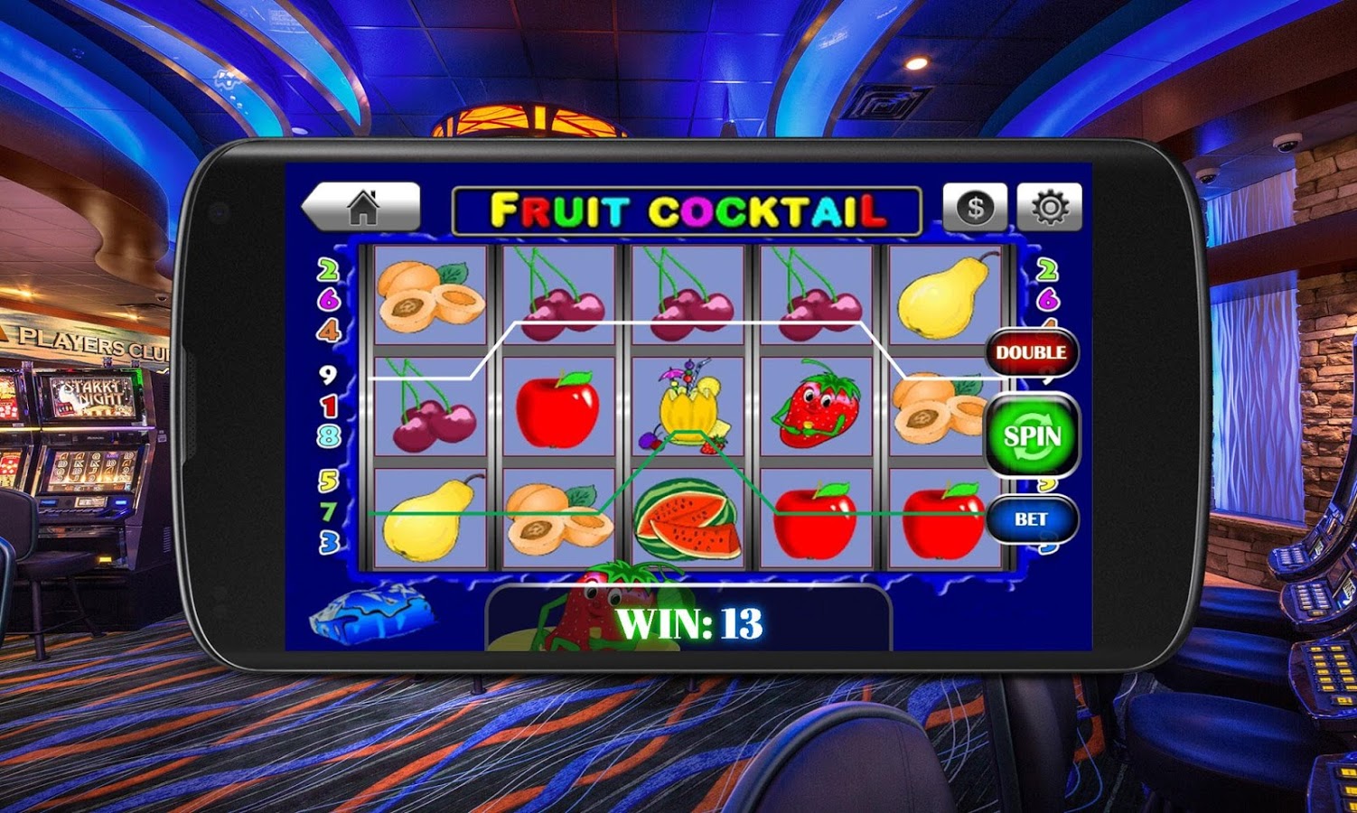  24 -  