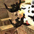 Награды за игру 24 - 30 октября 2010 Counter-Strike 1.6 сервер
