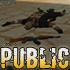     Public  24 -30  Counter-Strike 1.6 