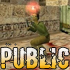     Public  27  - 2  Counter-Strike 1.6 