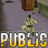     Public 8 -14  Counter-Strike 1.6 