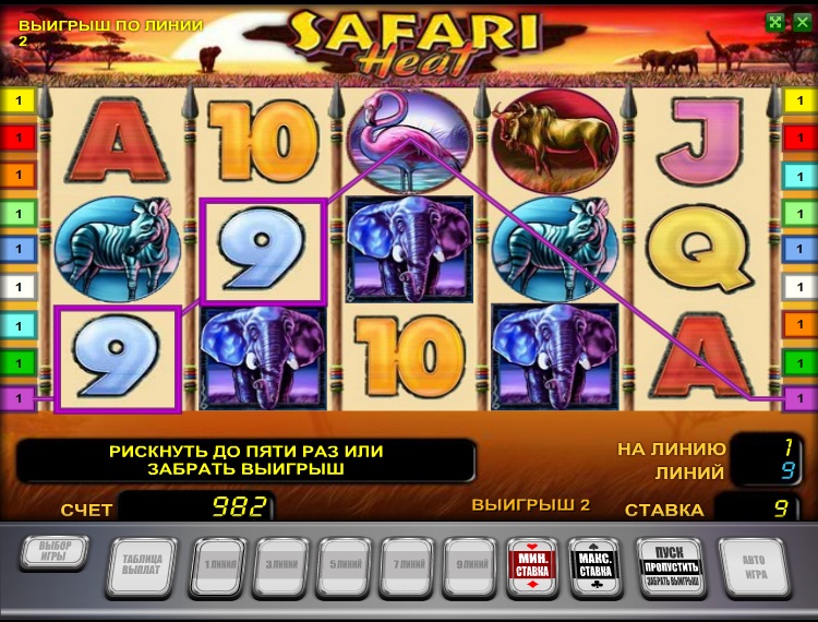 Safari Heat -    
