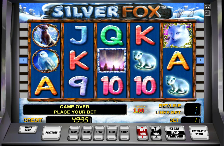 Silver Fox -    