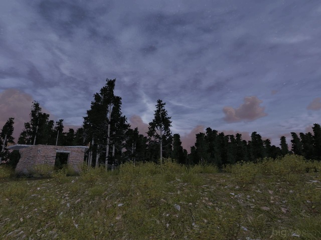 Сталкер онлайн в 3D: Природа и атмосфера игры