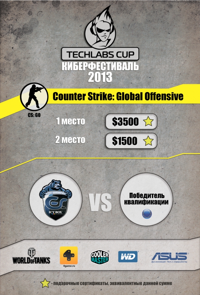 TECHLABS CUP BY 2013 CS GO