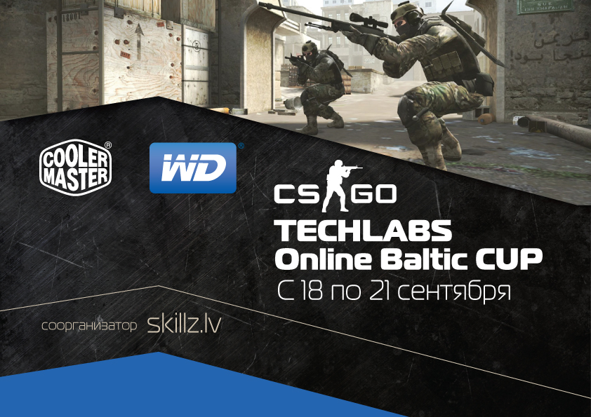 TECHLABS Baltics CS:GO Cup 2013
